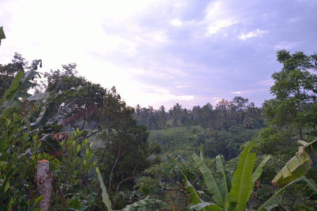 Pondok Bali Ubud Esterno foto