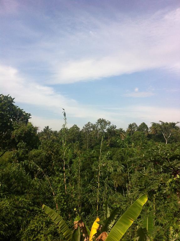 Pondok Bali Ubud Esterno foto
